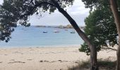 Randonnée Marche Plounéour-Brignogan-Plages - brignogan - Photo 1