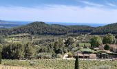 Tour Wandern La Cadière-d'Azur - La Cadiere d'Azur - Photo 1