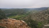 Tocht Stappen Le Pouzin - le Pouzin le couvent des Chèvres vieux Rompon - Photo 9