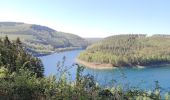 Tour Elektrofahrrad Spa - Vers Trois Ponts - Photo 2