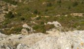 Trail Walking Marseille - trace de Marcel Pagnol le taoume - Photo 1