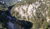 Percorso Canoa - kayak Gorges du Tarn Causses - GR60 jour 8 Les Vignes - Photo 3