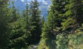 Randonnée Marche Pralognan-la-Vanoise - Bois de la Rossa (boucle) - Photo 5