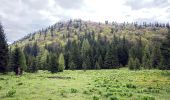 Percorso A piedi Râșnov - Bușteni - Poiana Pichetul Roșu - Cabana Mălăiești - Photo 8