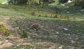 Randonnée Marche Modane - Polset - Lac de la Partie - Photo 19