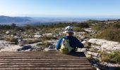 Excursión Bici de montaña Allauch - Pichauris les antennes par Regage - Photo 3