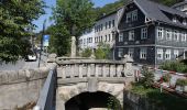 Tour Zu Fuß Sonneberg - Rundwanderweg Sonneberg - Photo 6