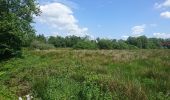 Percorso A piedi Claremorris-Swinford Municipal District - Sliabh Cairn Peak - Photo 2