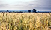 Tour Wandern Vinzelles - Vinzelles_Ronde_Fours - Photo 1