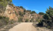 Tocht Stappen Darnius - Barrage Boadella jusque St Lorenct.  - Photo 2