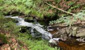 Trail Walking Jalhay - Charneux 17 Km  - Photo 18