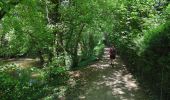 Tocht Stappen Straatsburg - La ceinture verte de Strasbourg - Photo 2