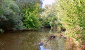 Tocht Stappen Les Arcs-sur-Argens - Trace_Les_Arcs - Photo 6