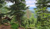 Trail Walking Saint-Dié-des-Vosges - col de la Crenee roche corbeau camp Celtique  - Photo 1