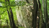 Randonnée Marche Nogent-le-Bernard - Nogent-le-Bernard - Menhir de Courtevrais - Photo 15