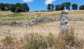 Randonnée Marche Peyre en Aubrac - BOUCLE AU DEPART DE FAU DE PEYRE - Photo 18