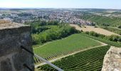 Percorso A piedi Sulzfeld - Wandern zwischen Wein, Wald und Streuobstwiesen - Photo 6