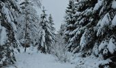 Tour Wandern Stablo - A la découverte de Hockai 🥾 - Photo 1