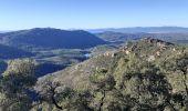Trail Walking Saint-Raphaël - Belle Barbe Pic d'Aurelle Pic du Cap Roux Grotte St Honorat - Photo 11