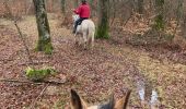 Trail Horseback riding Saint-Martin - Tivio kaline changer au milieu  - Photo 2