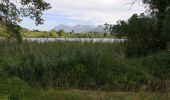 Trail Walking Apremont - 20190814 - Lac Saint André - Photo 3