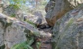 Tocht Stappen Fontainebleau - Fontainebleau sentier Denecourt Colinet 4 - Photo 6