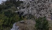 Trail Walking Limousis - Mont Simel  - Photo 2