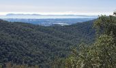 Tocht Stappen Hyères - N3 1er Borrel les mimosas sentier Philibert - Photo 3