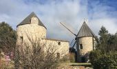 Tour Wandern Faugères - La Caumette-  Pic du Tantajo - Photo 1