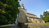 Trail Walking Marche-en-Famenne - Walk through the Hedrée valley - Photo 2