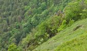 Randonnée Marche Xonrupt-Longemer - 2024 RA Vosges J2 Du Sotré à la Schlucht - Photo 6