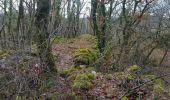 Tour Wandern Castelfranc - Castelfranc Tindout photos  - Photo 3