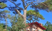Trail Other activity Arcachon - Visite Ville d'hiver Arcachon - Photo 16