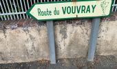 Tocht Stappen Prunay-Cassereau - Voie de Tours - 5eme étape : Prunay - Reugny - Vouvray  - Photo 2