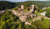 Percorso A piedi Lutzelbourg - Château de Lutzelbourg - Photo 1