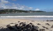 Excursión Senderismo Le Robert - Pointe Savane plage des Resignier - Photo 1