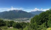 Tocht Te voet Bellinzona - Camerino-Isone - Photo 8
