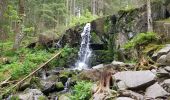 Tour Nordic Walking Gerdsee - ramonchamp. observatoire de merelle, saut de la bourrique  - Photo 2