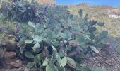 Excursión Senderismo Ingenio - Barranco de Guayadeque (Gran Canaria) - Photo 4