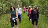 Tocht Stappen Trespoux-Rassiels - filles de manu  - Photo 9