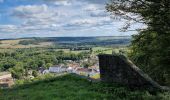 Tocht Stappen Joinville - dans joinville depuis le Château du Haut - Photo 1