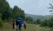 Trail Walking Sainte-Ode - Lavacherie - Photo 15