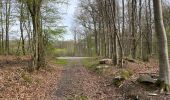 Tour Wandern Corcy - en forêt de Retz_91_04_2022_la Laie de la Belle Epine - Photo 7