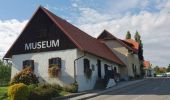 Excursión A pie Kitzeck im Sausal - Panoramagalerie Sulmtal - Sausal - Kunst und Wein - Photo 5
