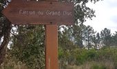 Tour Wandern Mandelieu-la-Napoule - Grand Duc - Photo 5