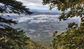 Trail Walking Montaud - pas de la pierre taillée bec de Lorient  - Photo 11