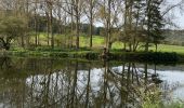 Excursión Senderismo Esneux - Boucle de Ourthe tour du château Esneux - Photo 1