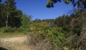Excursión Bici de montaña Meursault - VTT a meursault - Photo 1