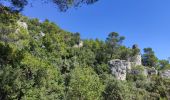 Tocht Stappen Méounes-lès-Montrieux - reco Jas du Murier - Photo 1