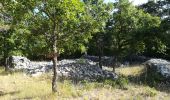 Trail Walking Bédoin - ventoux pavillon de  Roland MA - Photo 16